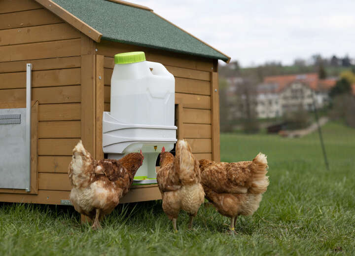 KERBL SmartCoop Geflügeltränke